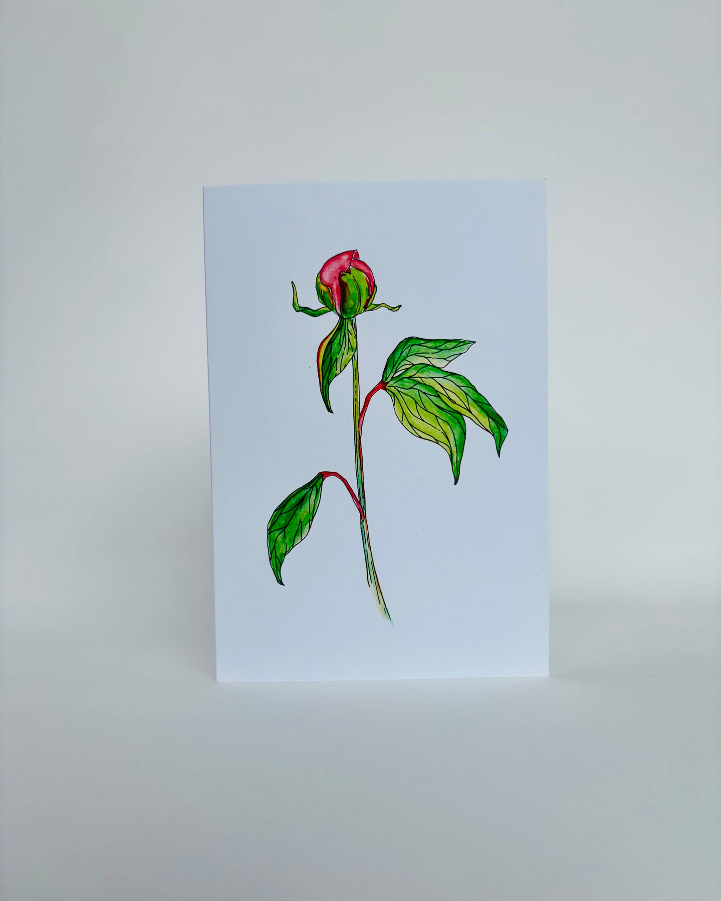 Monthly Greeting Card Club